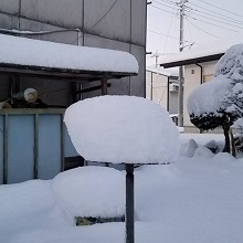 雪降りましたね！怪我注意